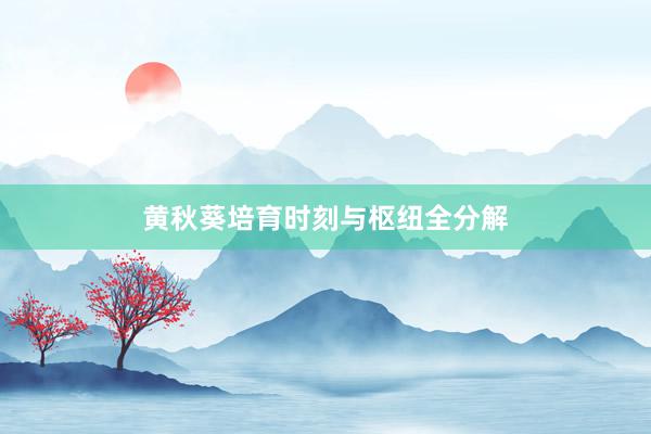 黄秋葵培育时刻与枢纽全分解